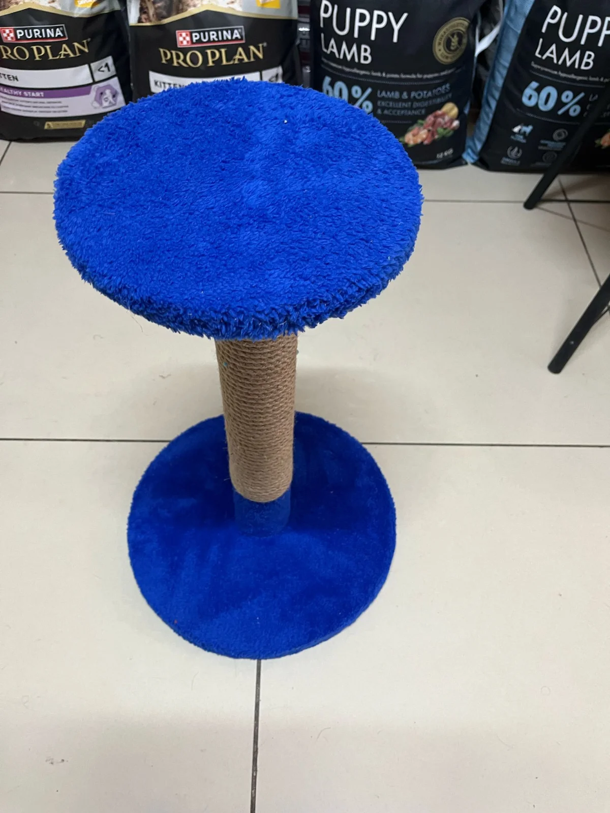 tini mini kedi tırmalama