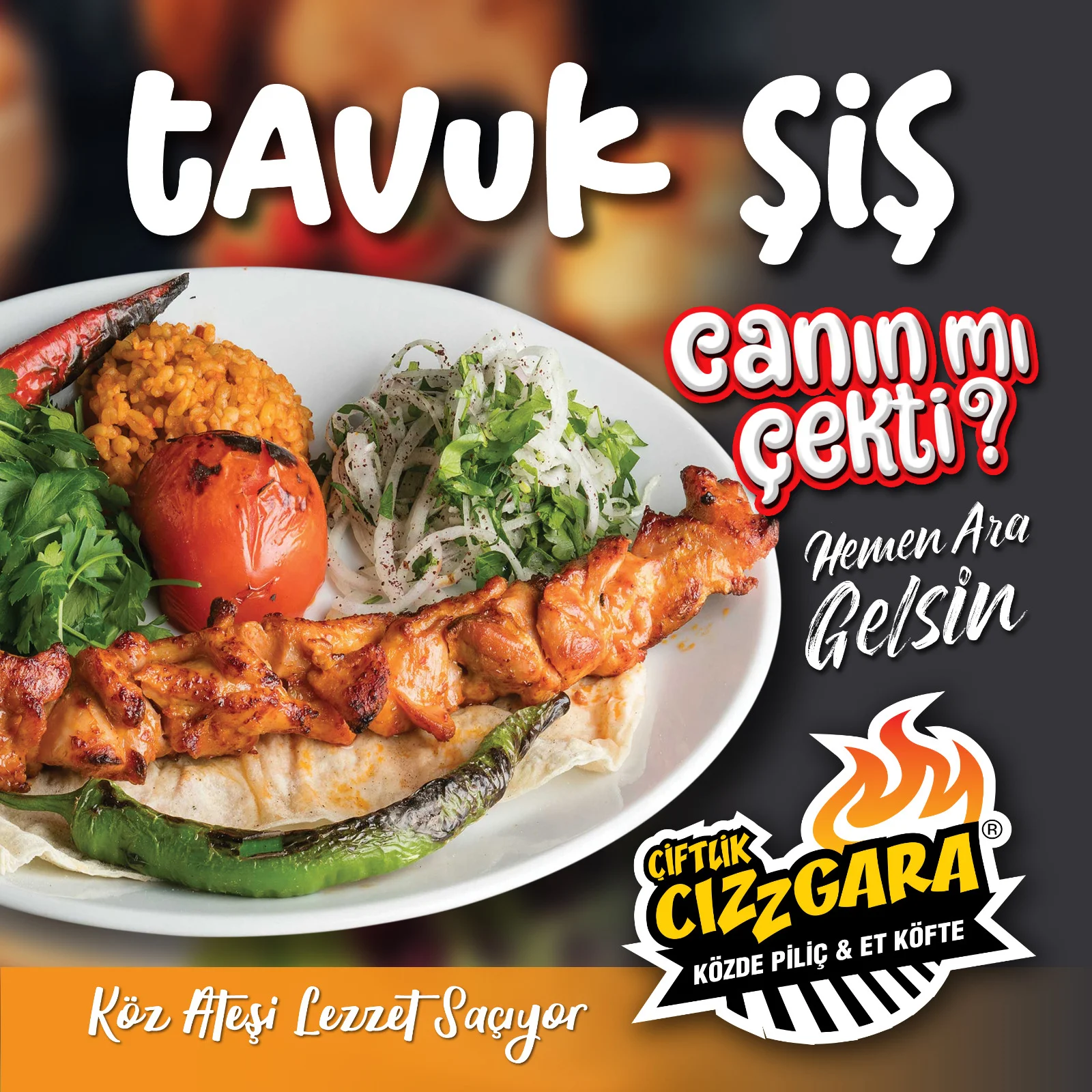 TAVUK SARMA ŞİŞ CIZZGARA