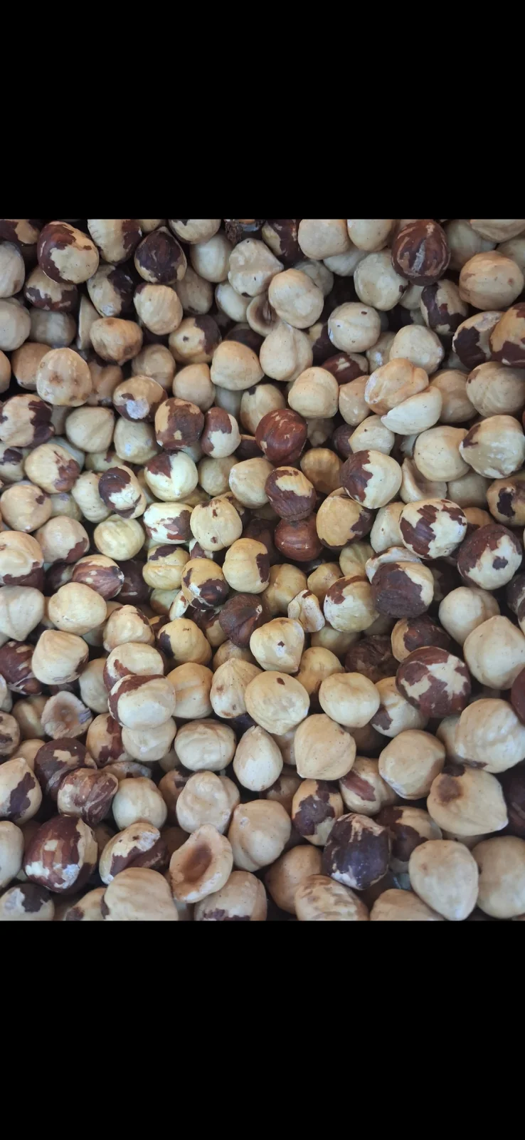 Fındık