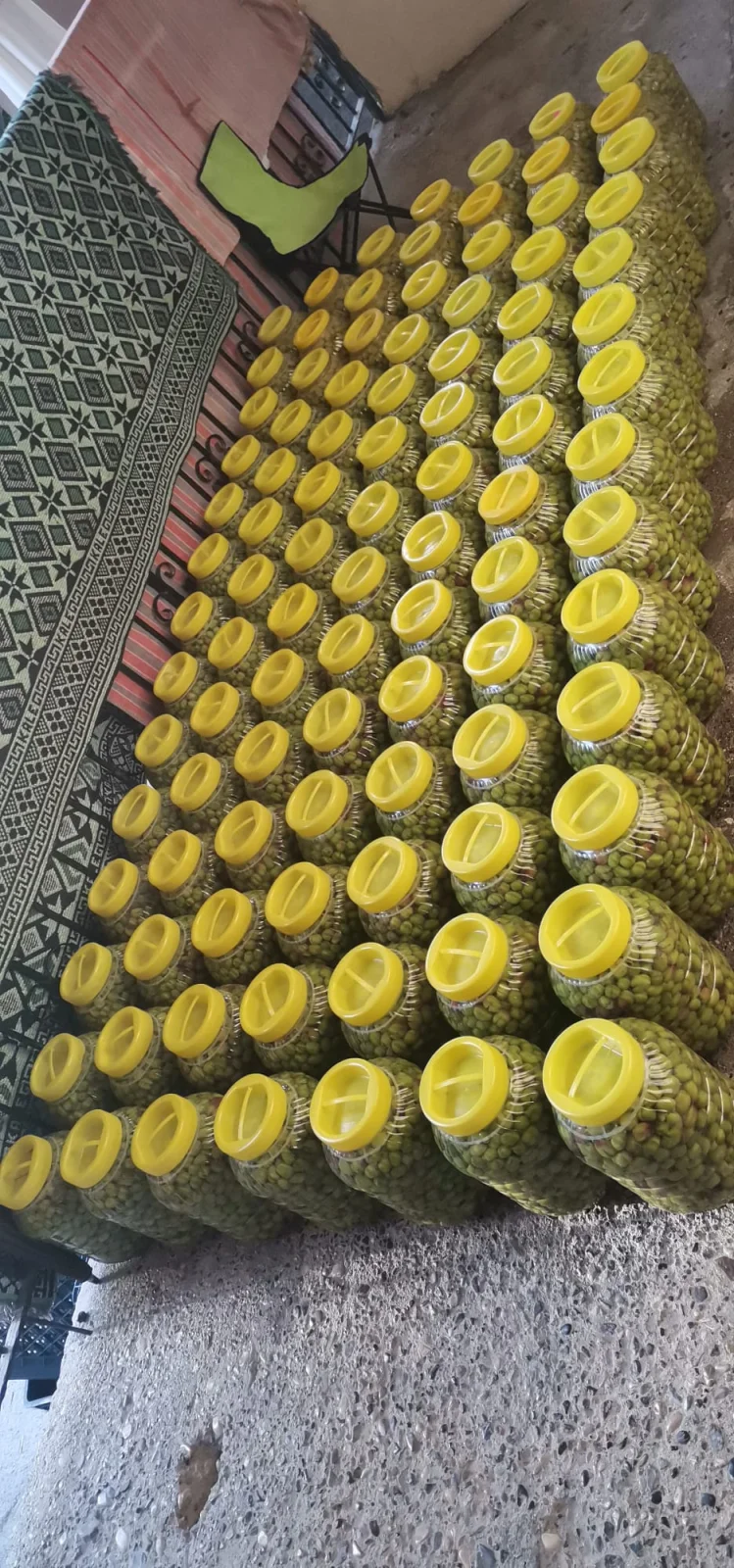 Kırma Gemlik Zeytini