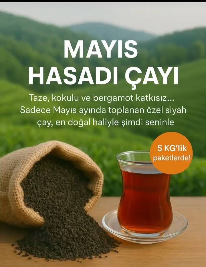 İLK HASAT MAYIS ÇAYI