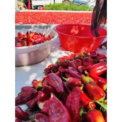 TATLI BİBER SALÇASI 1 KG