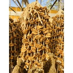 CEVİZLİ SUCUK 1 KG