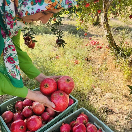 1 LT NAR EKŞİSİ Orijinal katkısız