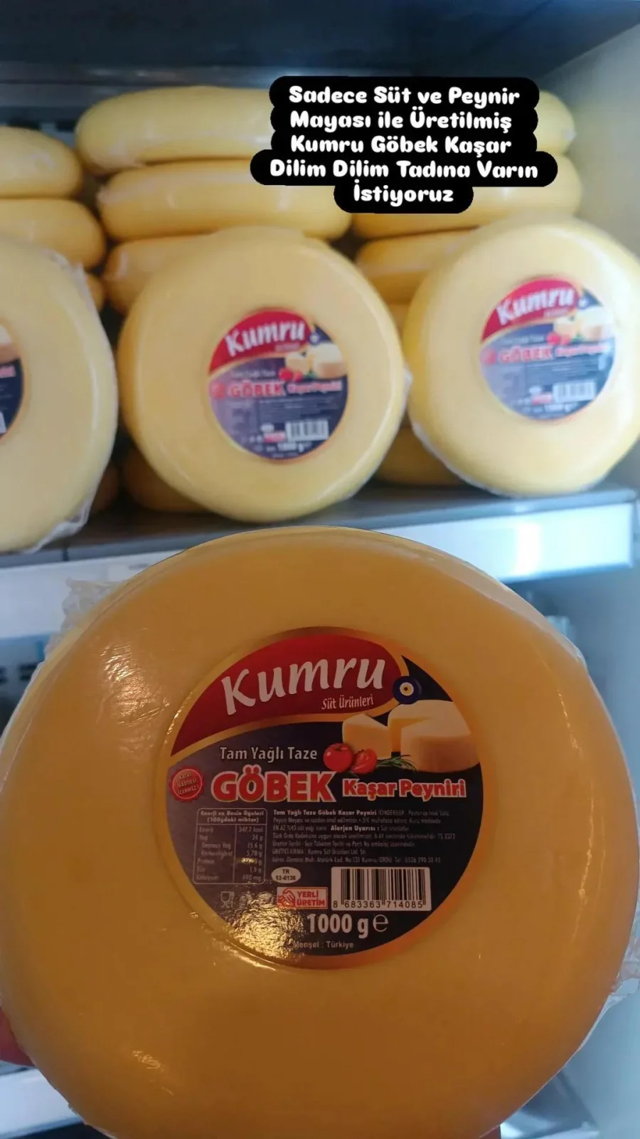 GÖBEK KAŞARI