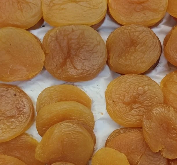 Kayısı