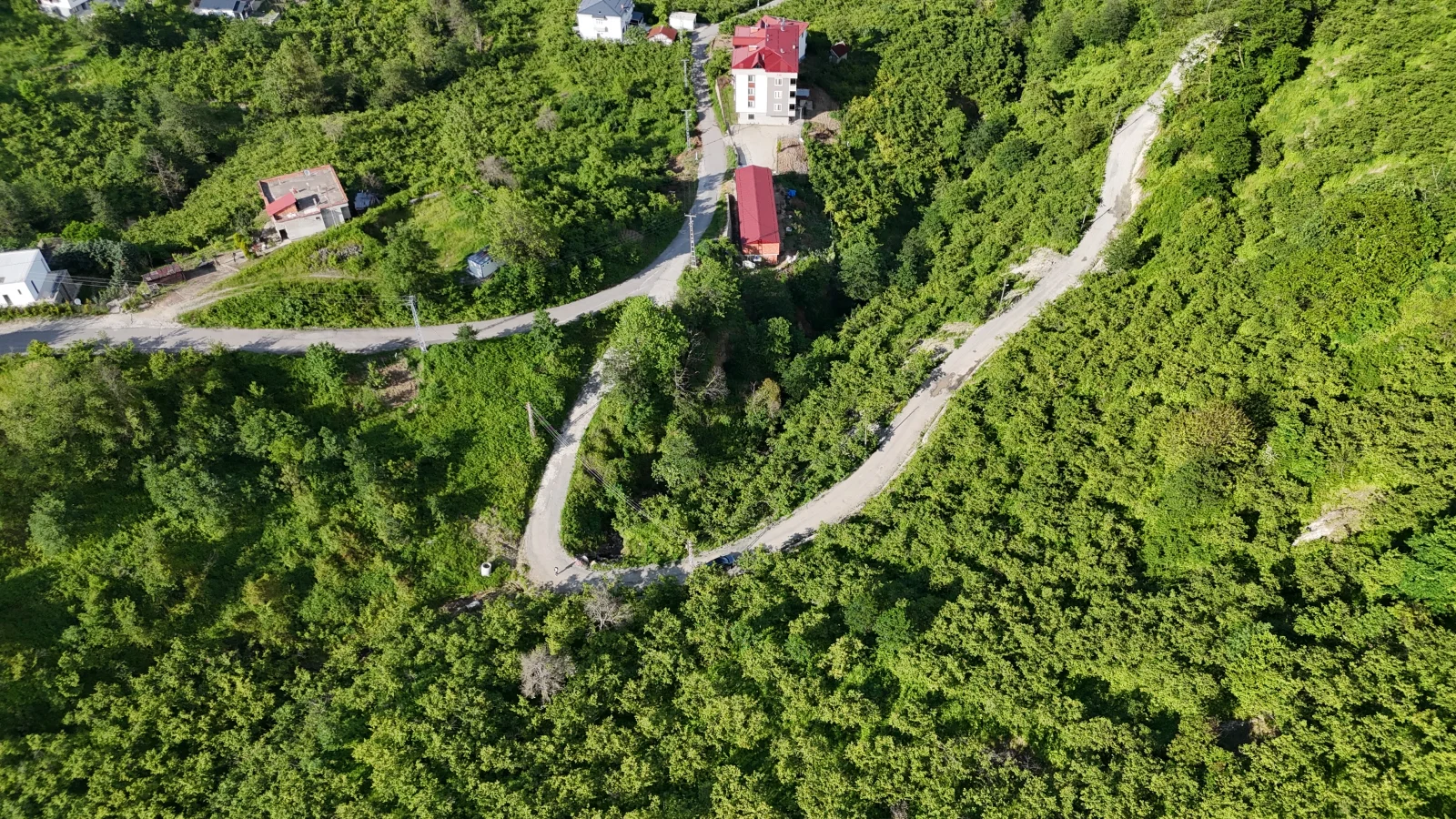 Araklı Yiğitözünde Satılık 2,5 Dönüm Fırsat Arazi