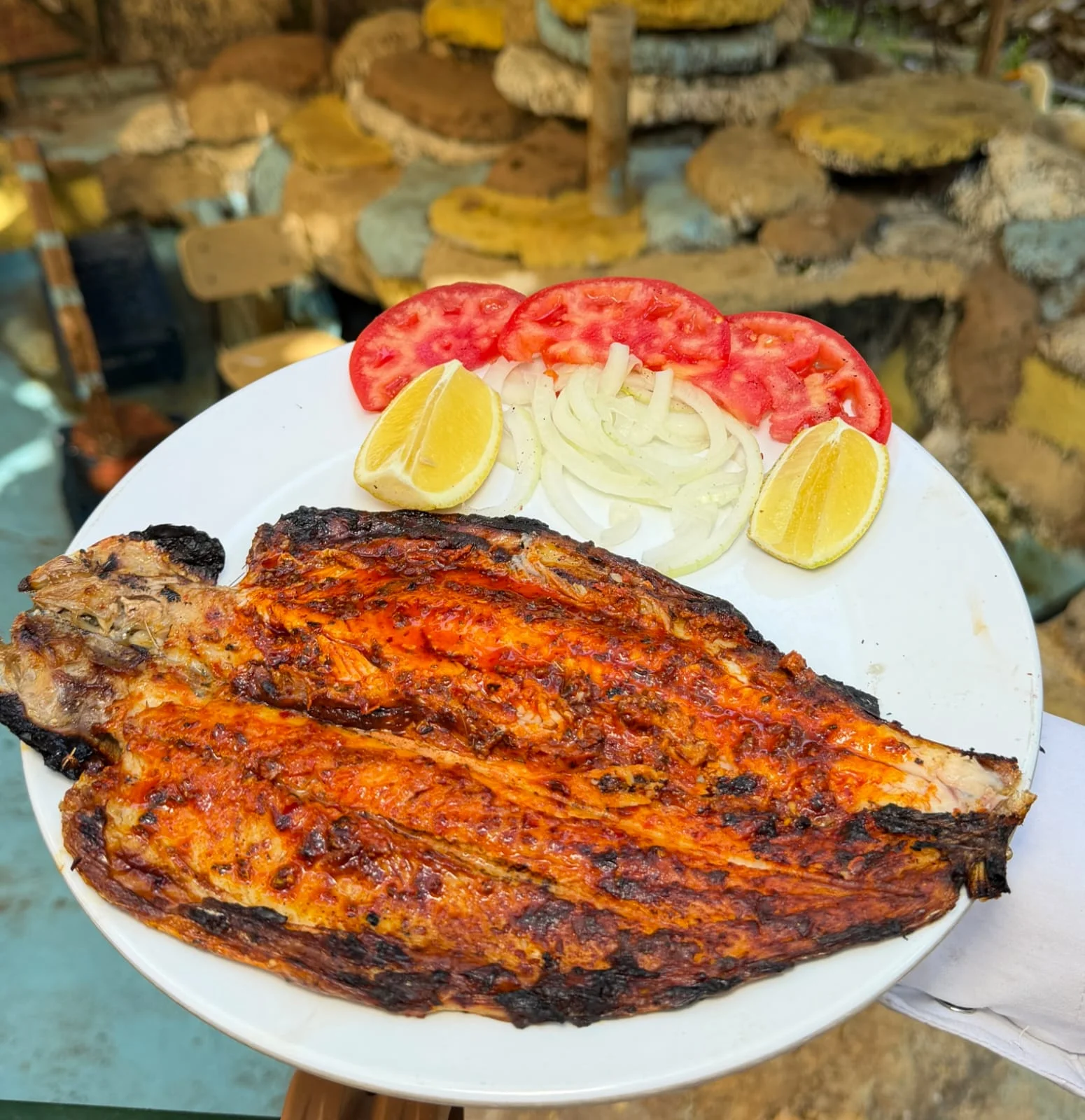 Alabalık Izgara