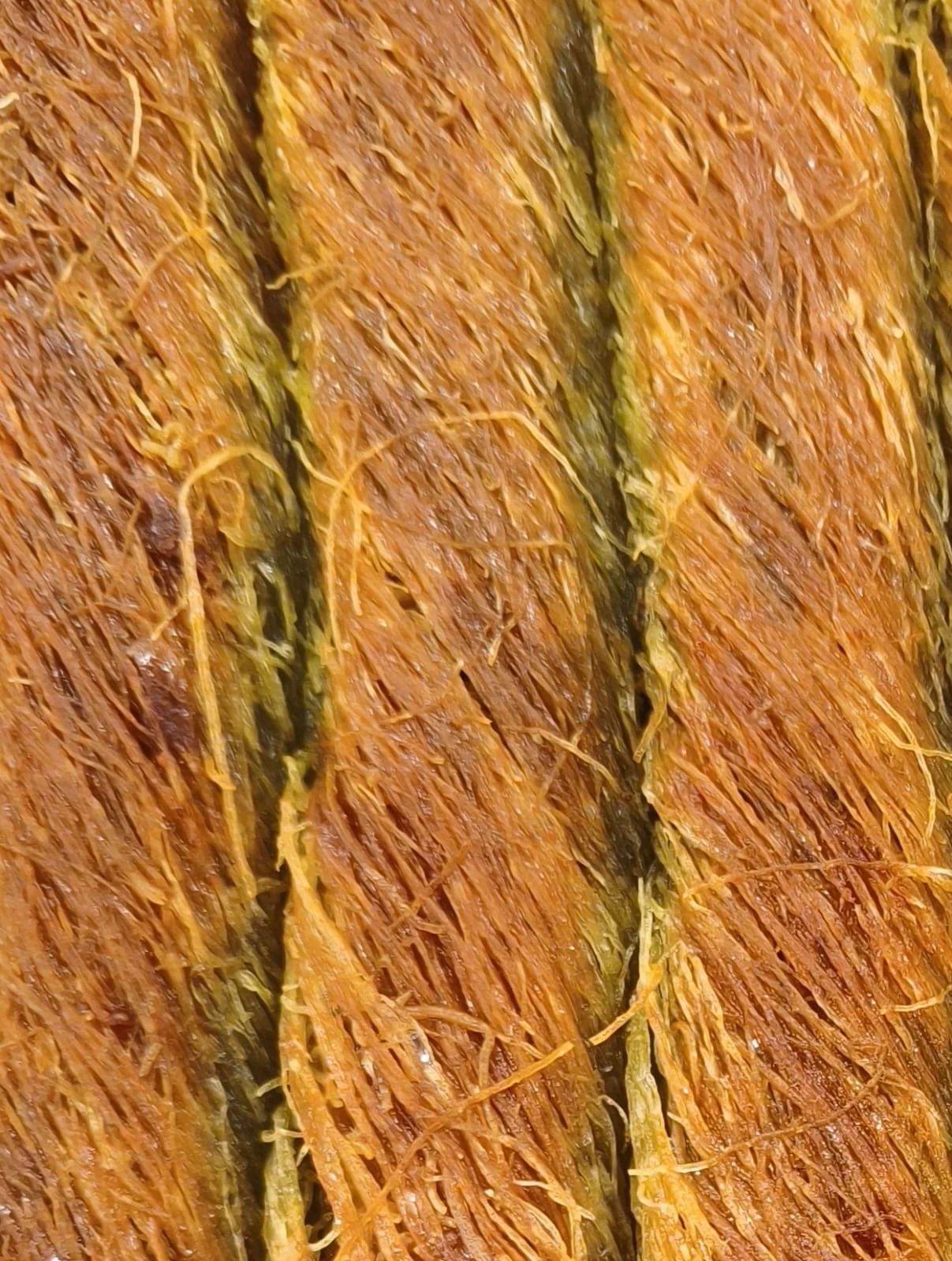 Burmalı Kadayıf
