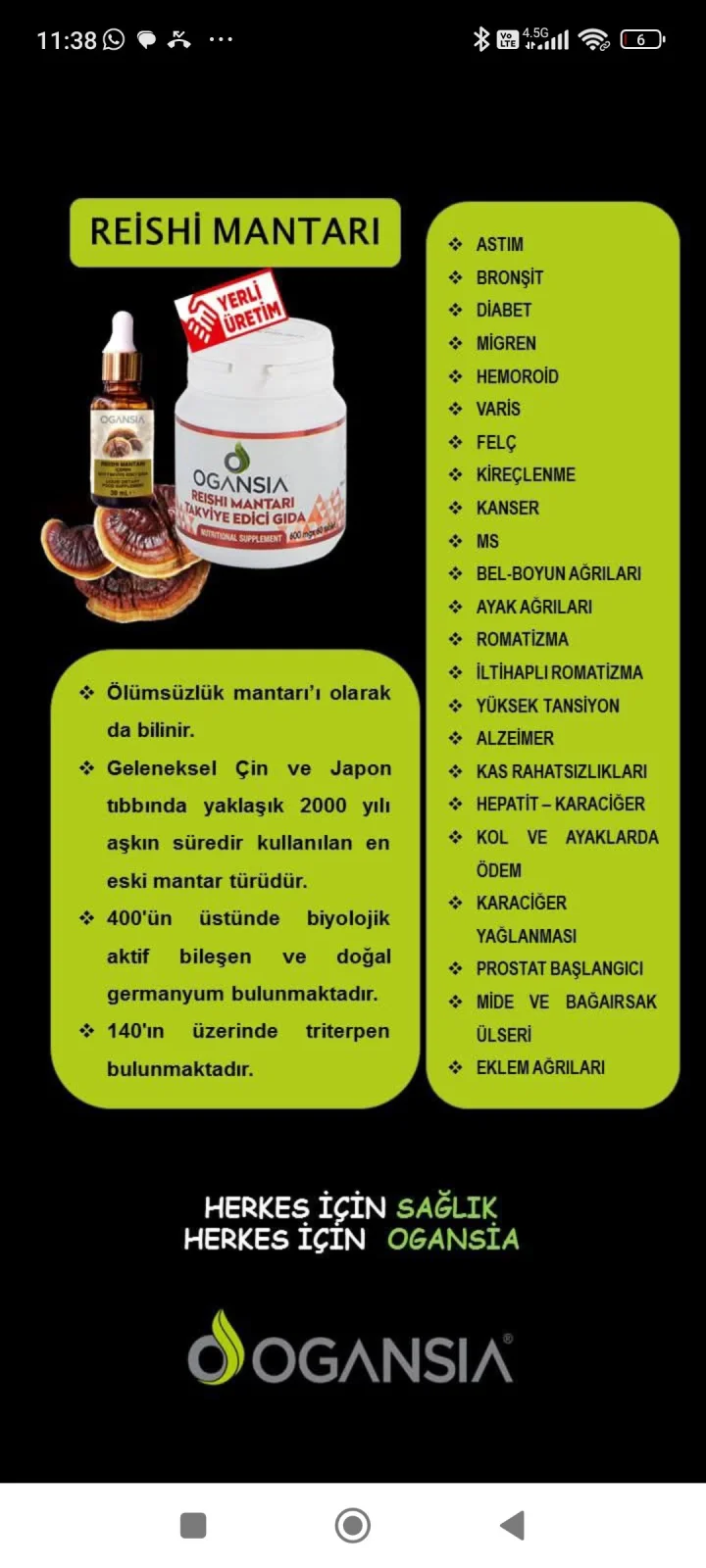 Reişhi Mantarı
