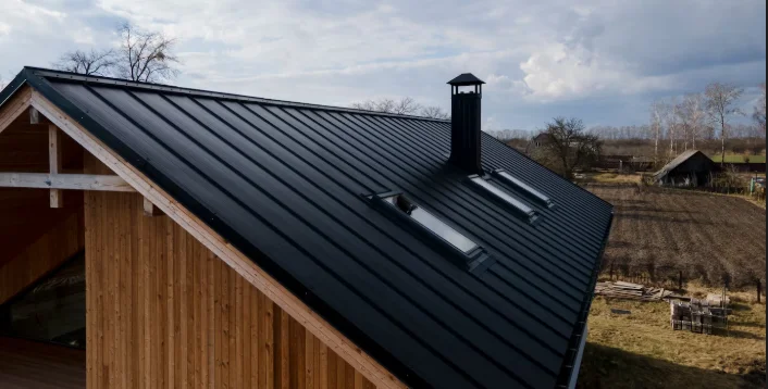 Tenekeci Salih Koca