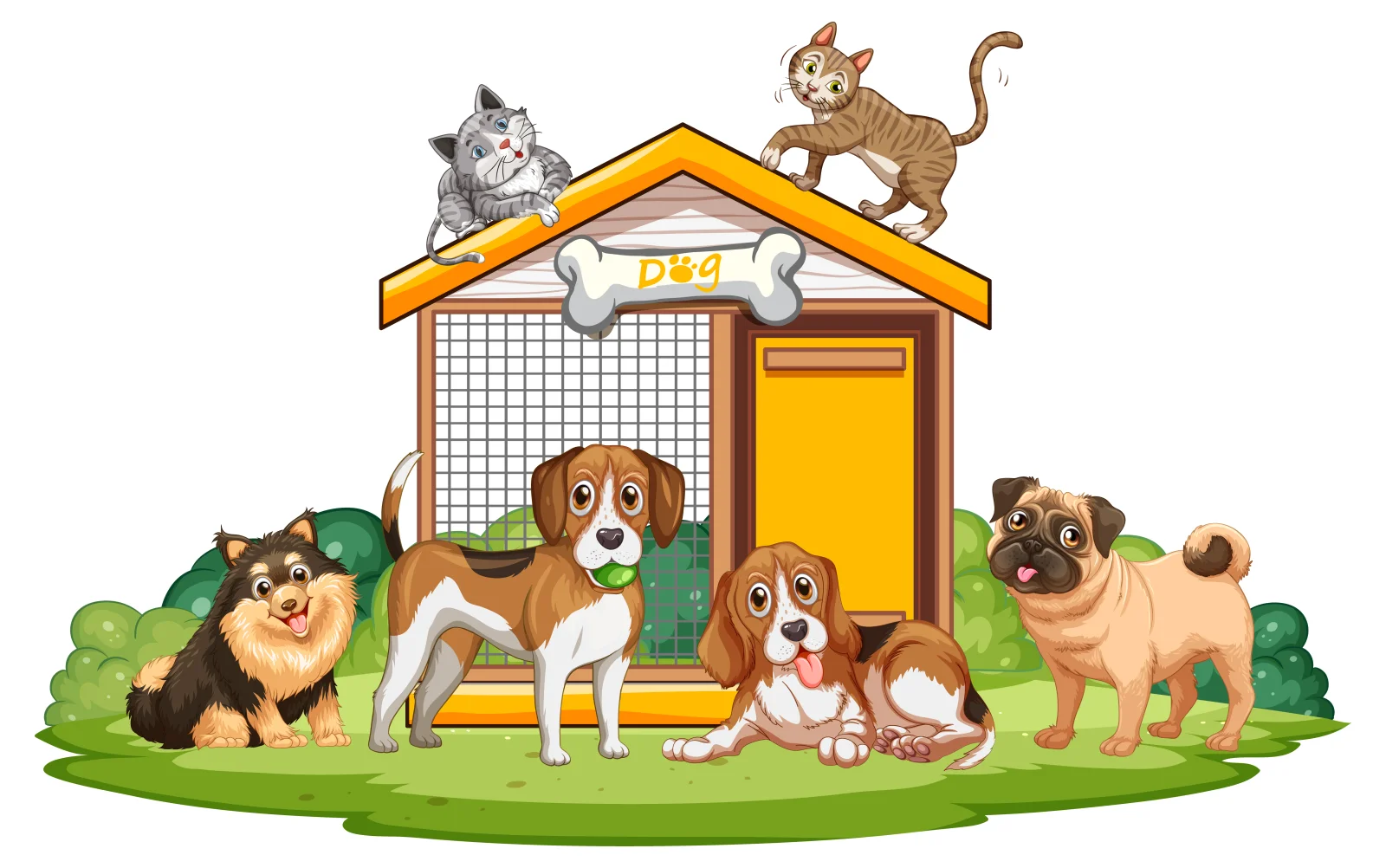 Alibaba Petshop