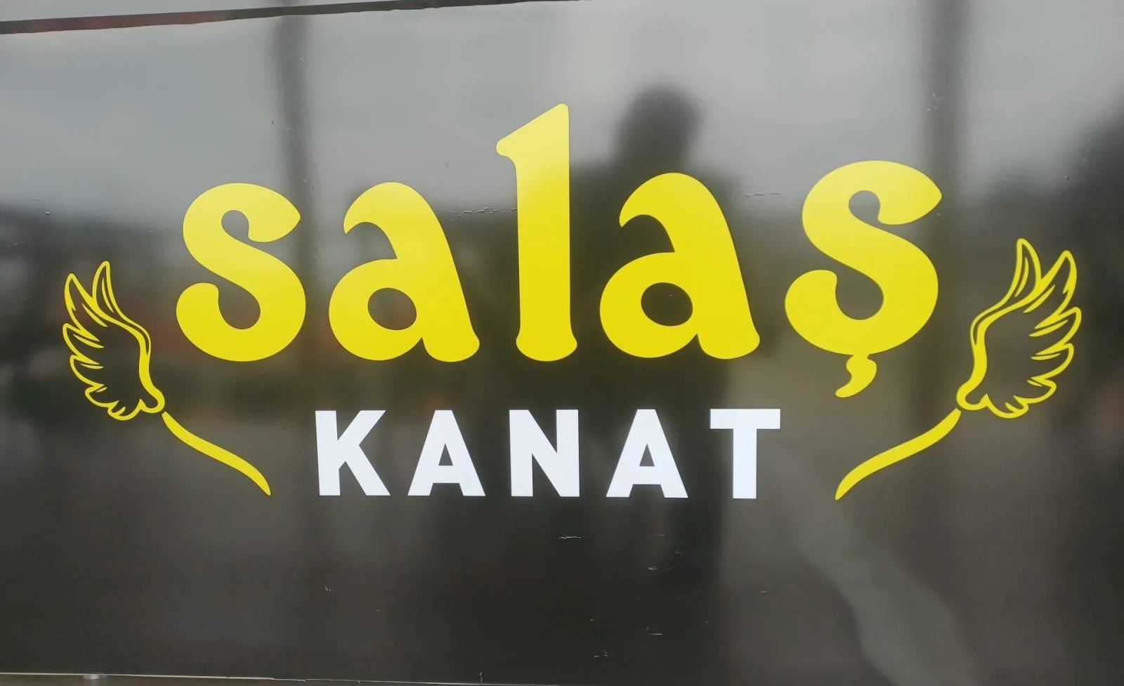 SALAŞ KANAT