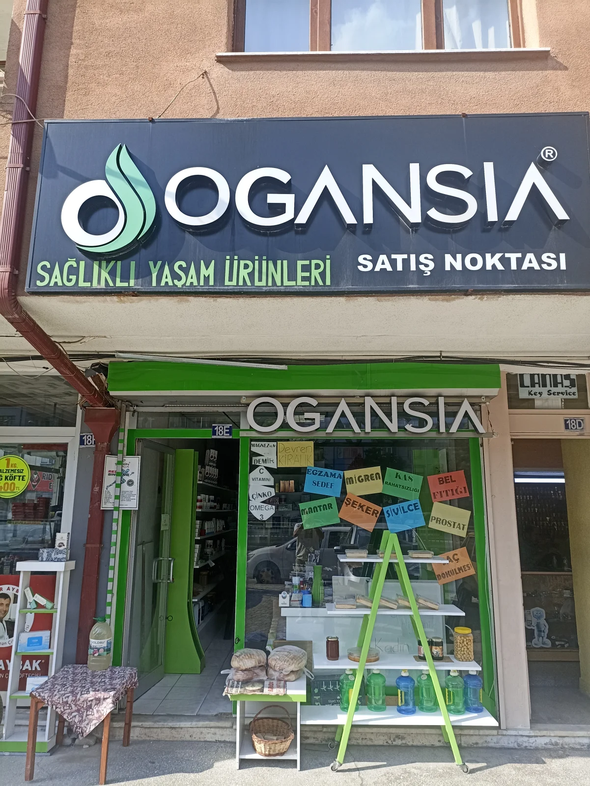 OGANSİA